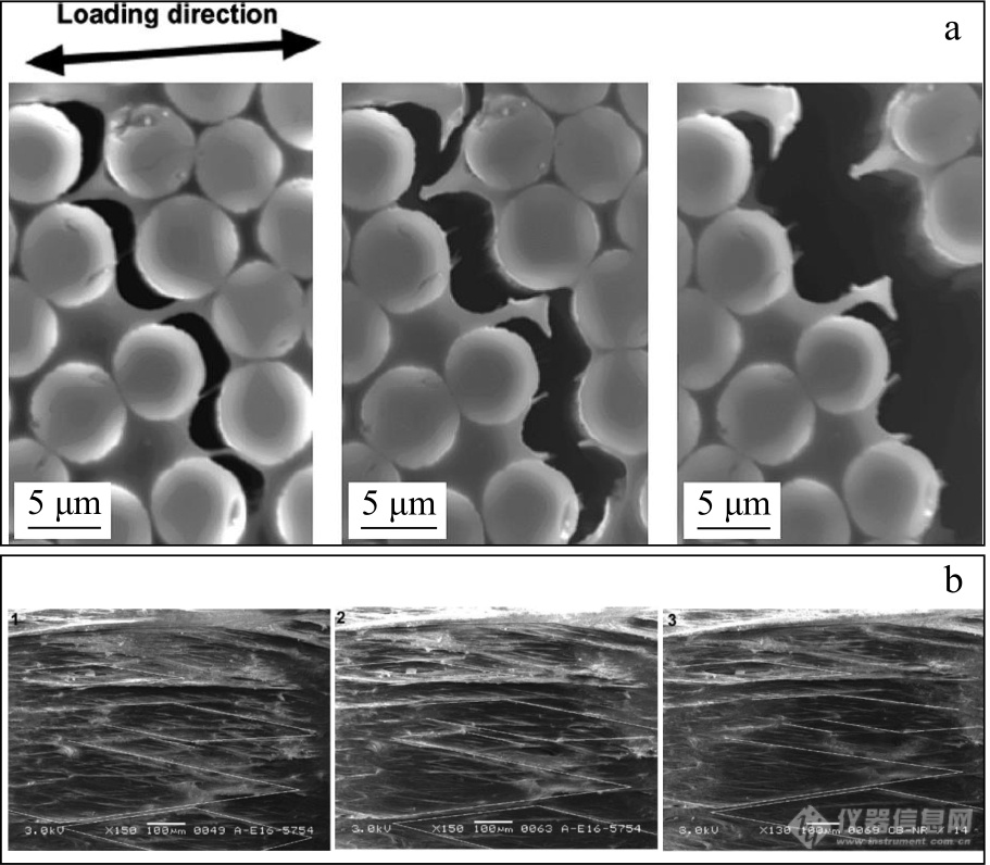 高分子表征技术专题——扫描电镜技术在高分子表征研究中的应用