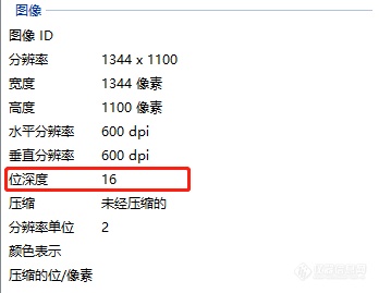 Western blot 撤稿主要原因有哪些？怎样才能避免？