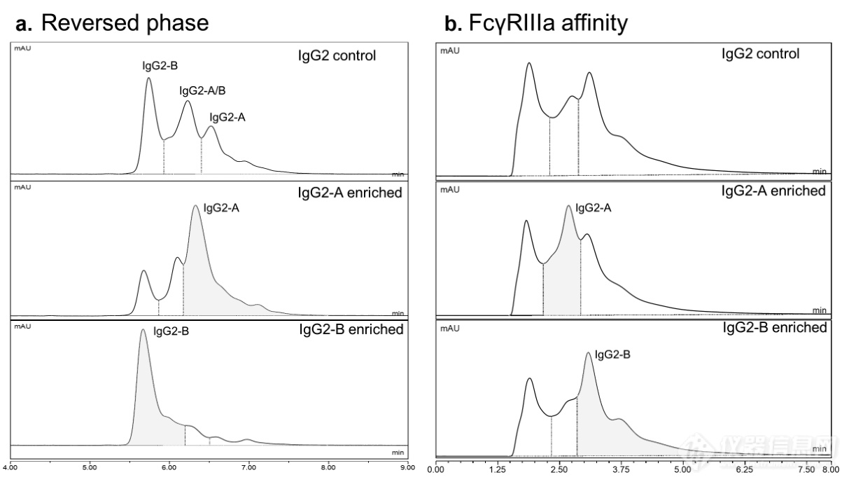 mAbs | 使用在线亲和色谱-质谱对影响抗体-FcγRIIIa V158 (CD16a)结合的属性进行非靶向表征