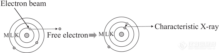 高分子表征技术专题——扫描电镜技术在高分子表征研究中的应用