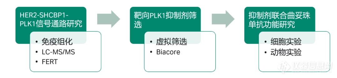 胃癌靶向治疗新思路， Biacore觅得赫赛汀有效增敏剂