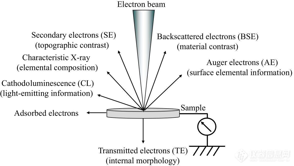 高分子表征技术专题——扫描电镜技术在高分子表征研究中的应用