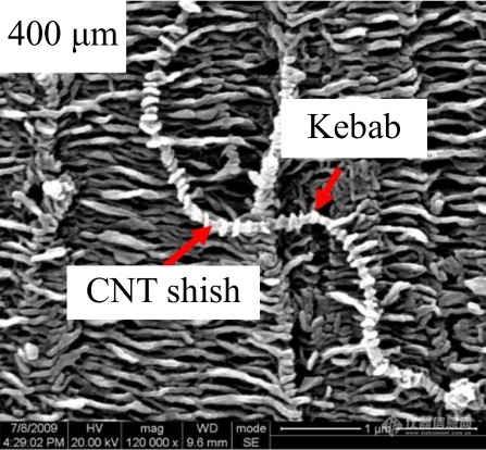 高分子表征技术专题——扫描电镜技术在高分子表征研究中的应用