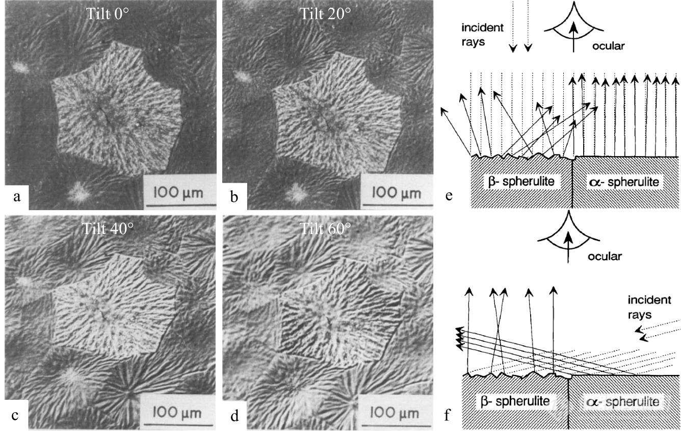 高分子表征技术专题——扫描电镜技术在高分子表征研究中的应用