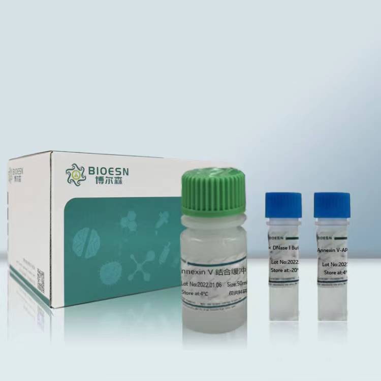 Annexin V-APC细胞凋亡检测试剂盒