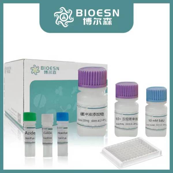 细胞周期检测试剂盒（PI）