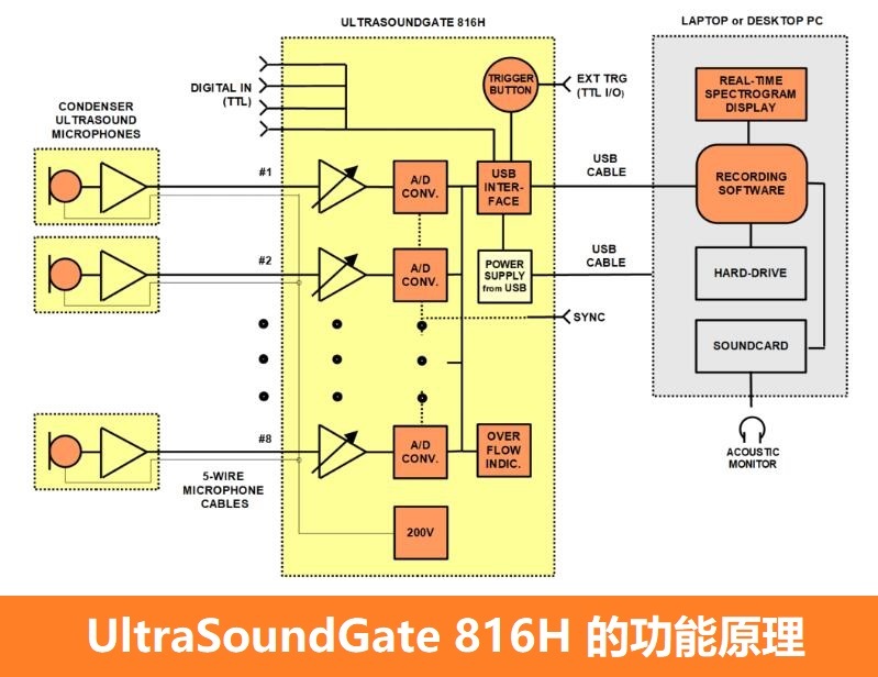 多通道超声声谱分析系统UltraSoundGate 816H