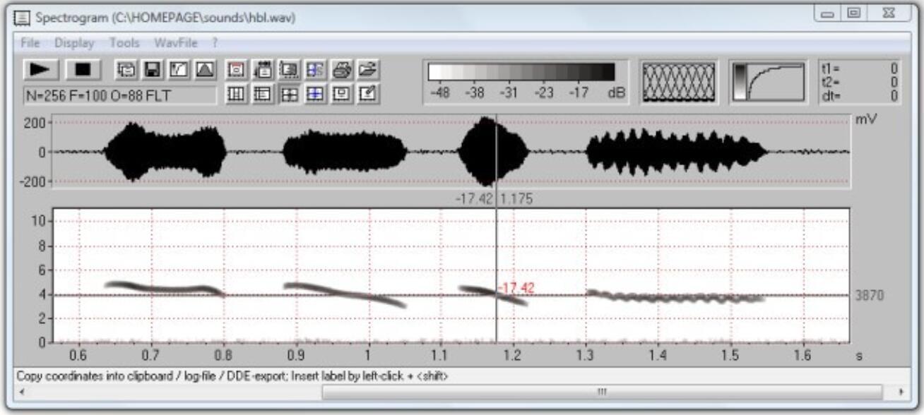 动物声音超声波分析软件Avisoft-SASLab Pro