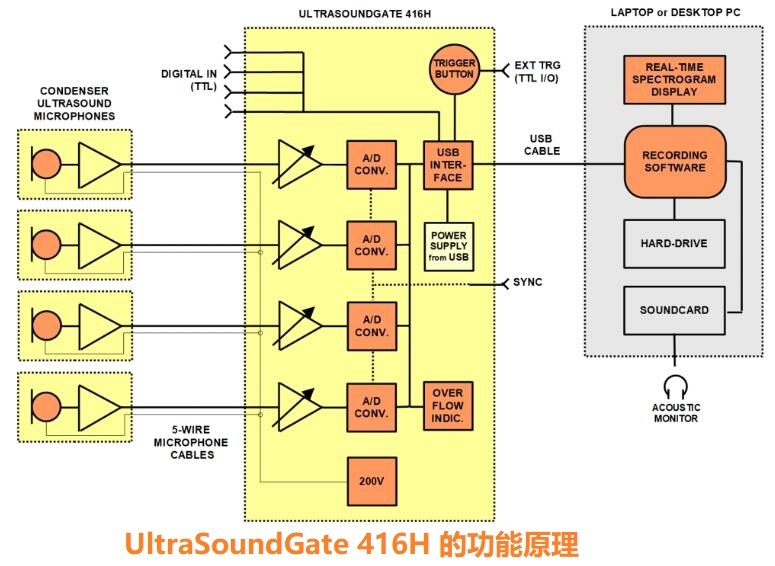 动物声音超声波录制系统 UltraSoundGate 416H