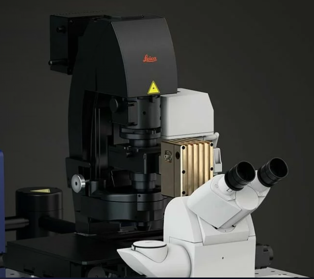 德国徕卡相干拉曼散射显微镜STELLARIS 8 CRS