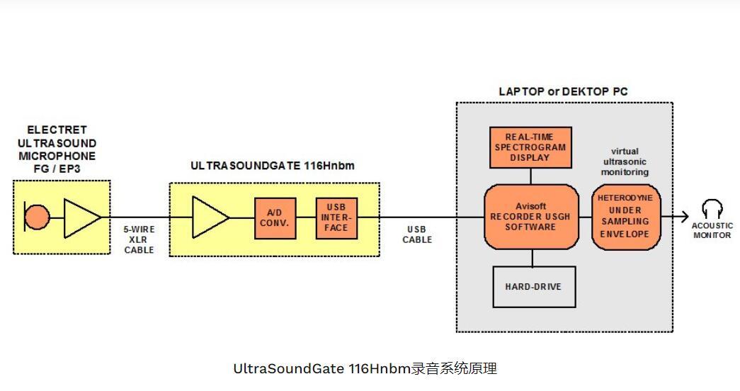 动物超声声音分析仪UltraSoundGate 116Un