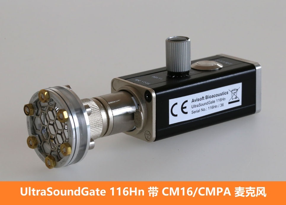 动物声音超声记录系统UltraSoundGate 116Hn