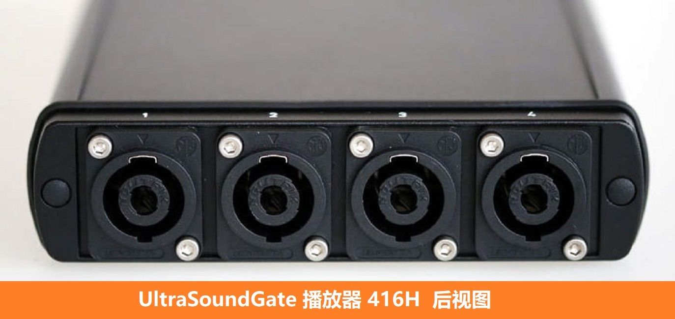 多通道超声波动物声音分析系统UltraSoundGate 416H