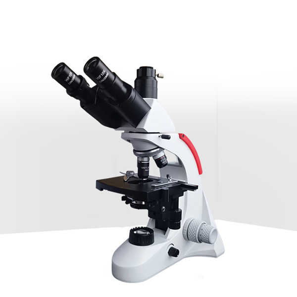 TL2650生物显微镜
