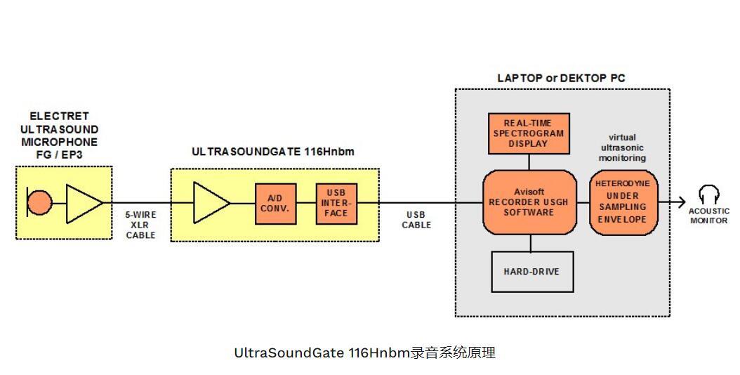 动物超声音频分析仪UltraSoundGate 116Hnbm