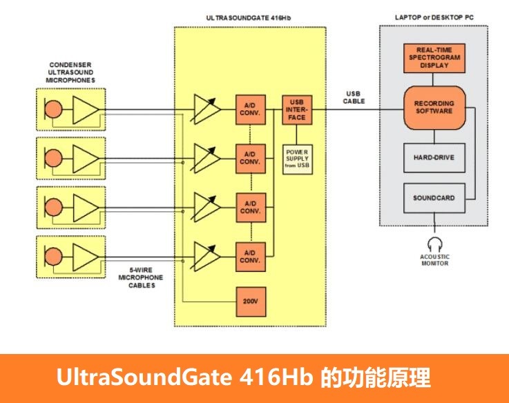 多通道超声波录音系统 416Hb