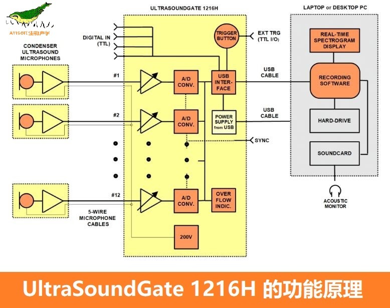 超声波录音系统UltraSoundGate 1216H