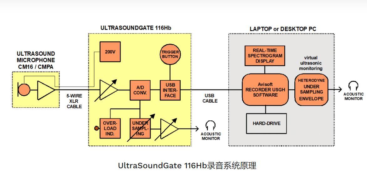 野外动物声谱分析系统UltraSoundGate 116Hb