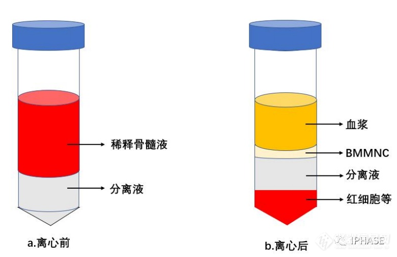 微信图片_20220421091751.png