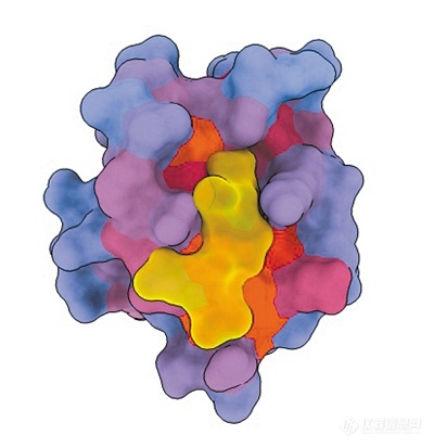 新技术找到人类蛋白质关键变构位点