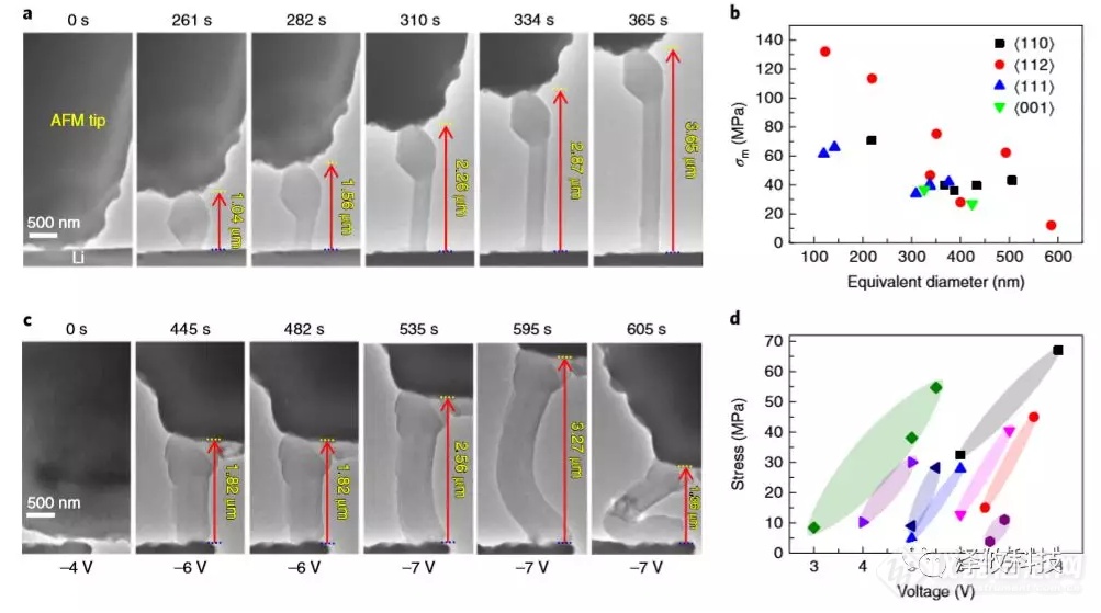 锂晶须生长的原位AFM-ETEM成像以及在施加电压下同时测量锂晶须的应力变化。