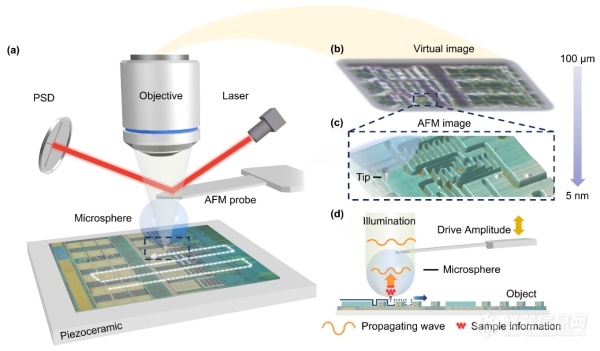 沈阳自动化所提出AFM和扫描微透镜关联显微镜的跨尺度成像新方法