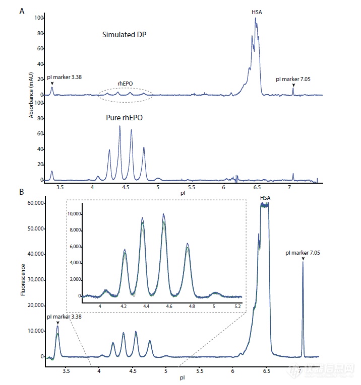 【NIFDC文献系列赏析】自发荧光iCIEF表征rhEPO技术新进展