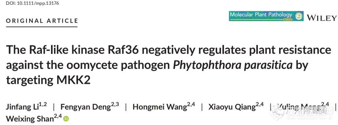 西北农林科技大学单卫星教授团队发现负调控植物对寄生疫霉菌抗性新机制