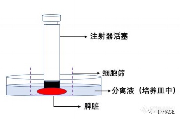 微信图片_20220413092843.png