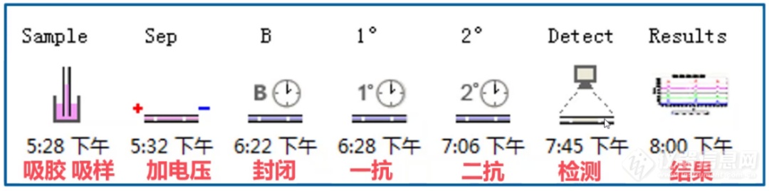 细胞外囊泡又双叒叕大显身手！