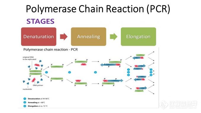 PCR-678x381 (1).jpg