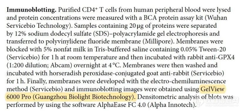 文献速递丨CPX4-铁死亡轴在调节滤泡辅助T细胞稳态中的核心作用