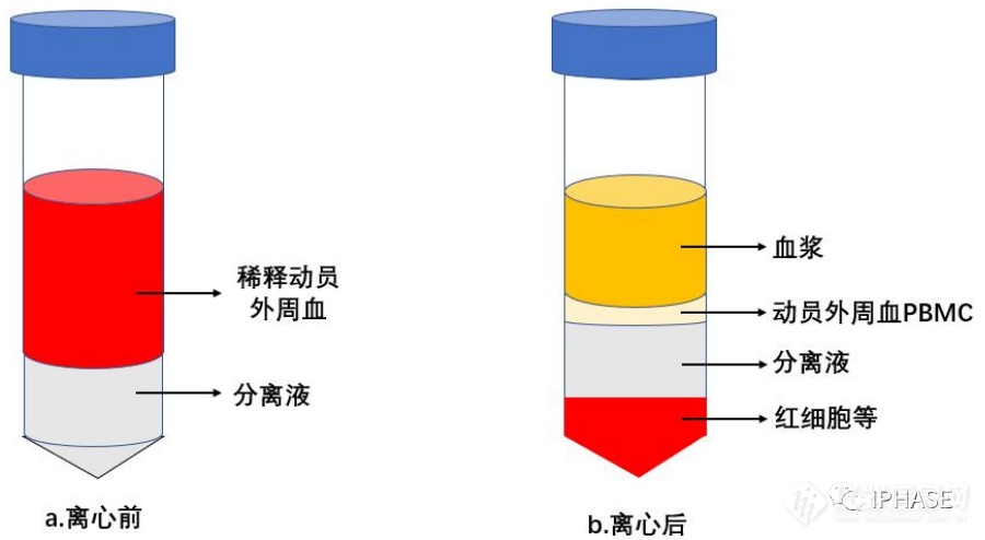 微信图片_20220427114623.png