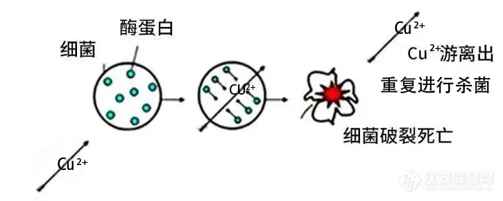 二碳箱的抗菌防护罩-氧化铜涂层