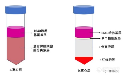 微信图片_20220413092847.png