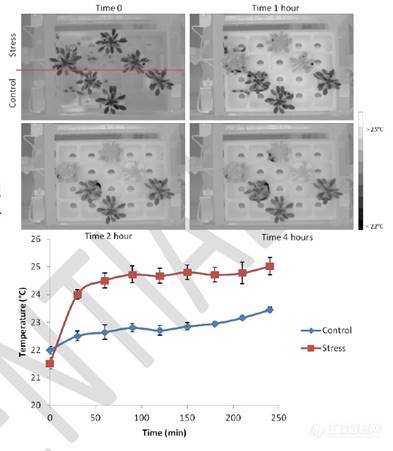 Macintosh HD:Users:changqingyu:Desktop:Ecotech-Suppliers:荧光技术:PSI:Phenotyping:遗传所:Thermal Imaging.jpg