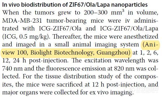 文献速递|动物活体成像系统在纳米医学领域中的应用