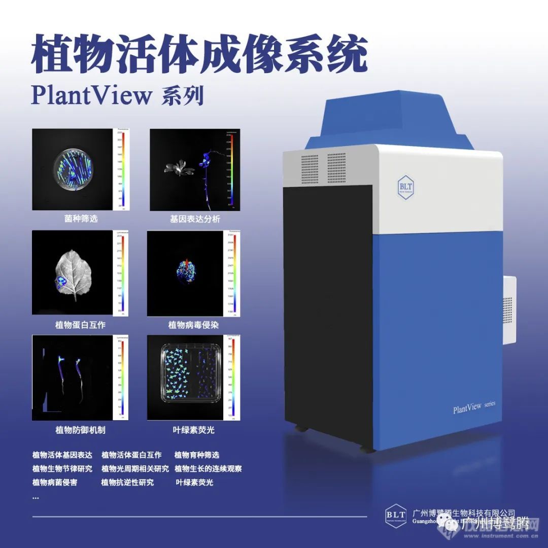 西北农林科技大学单卫星教授团队发现负调控植物对寄生疫霉菌抗性新机制