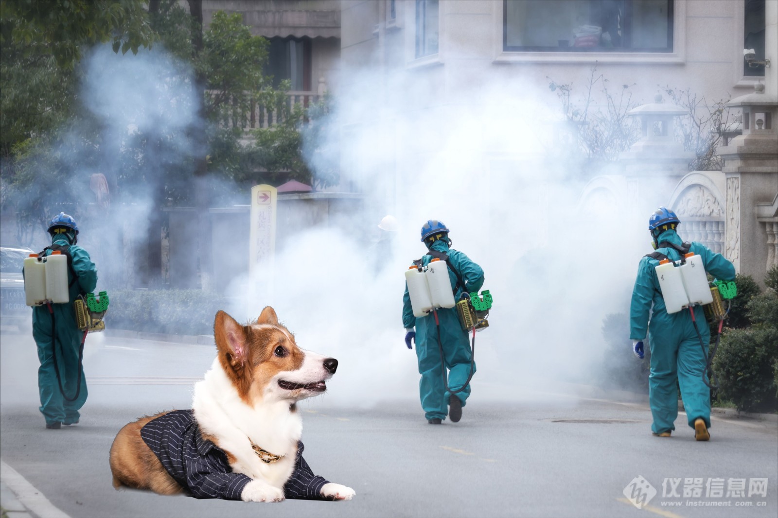 谈科学处置隔离人员的宠物犬,中国农科院步志高:核酸检测对狗适用