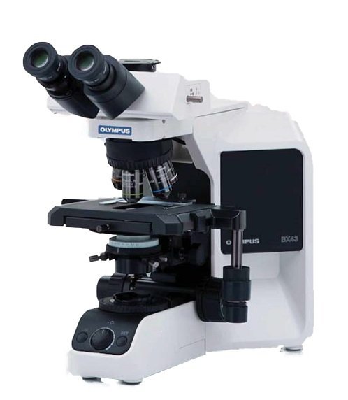 奥林巴斯生物显微镜BX43