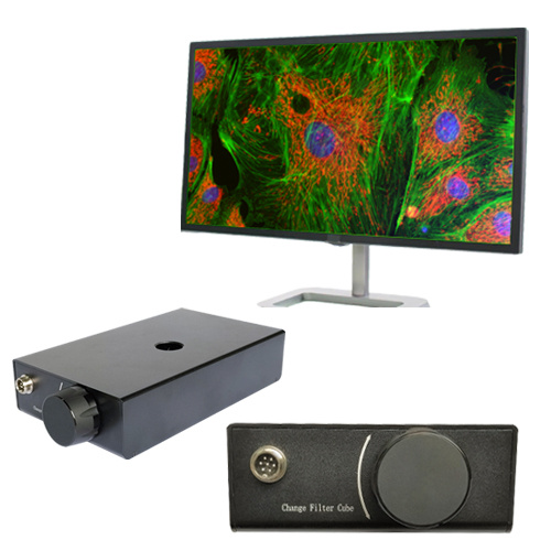 荧光显微镜荧光模块 三色倒置荧光模块 BGU-LED-IMH