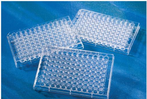 康宁3599酶标板 96孔板 平底 TC表面 PS（聚苯乙烯）材质 透明 
