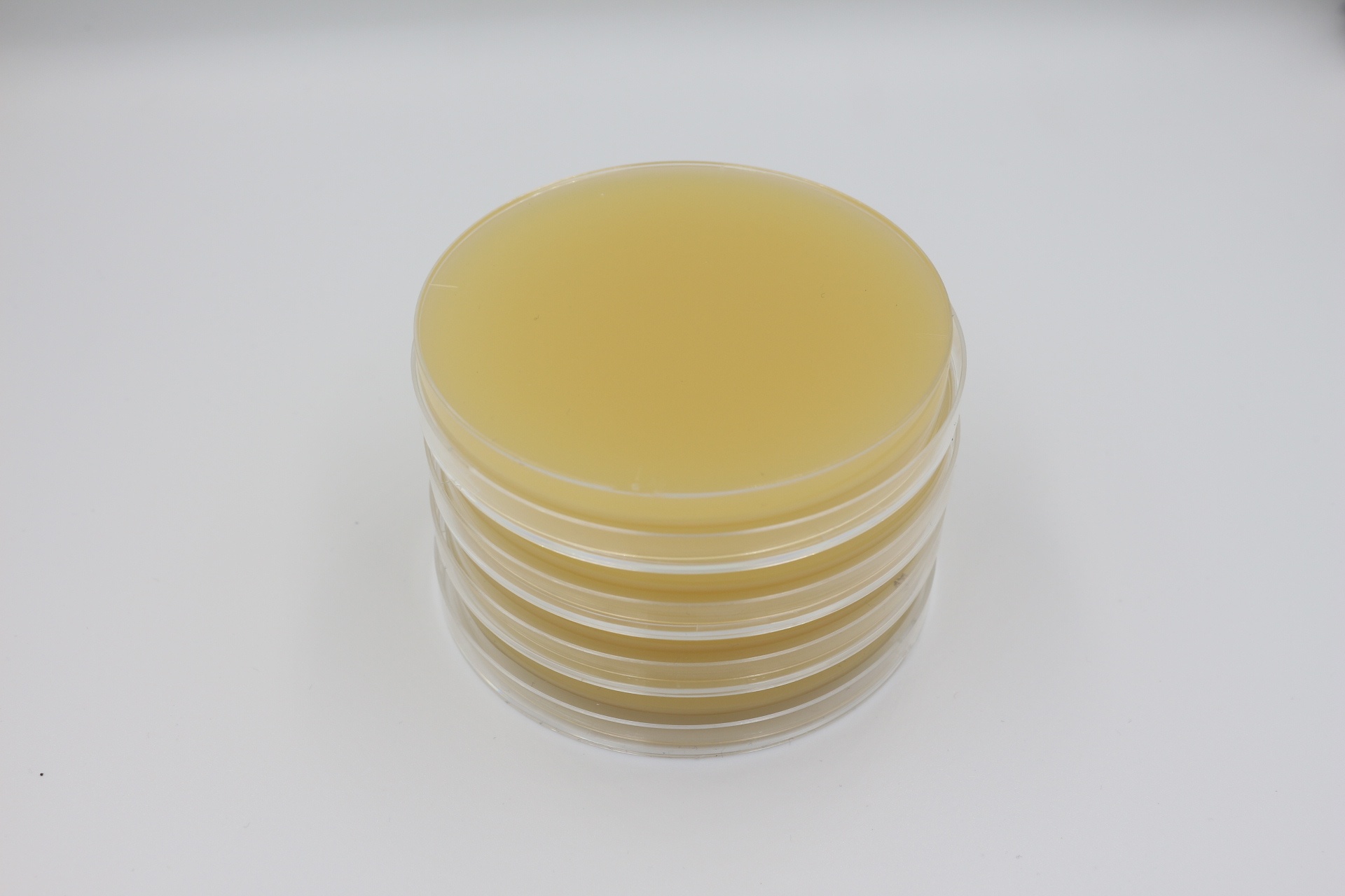 沙氏培养基平板