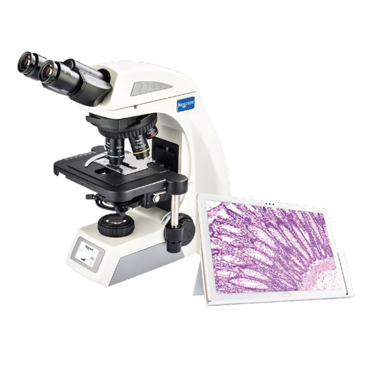 Nexcope耐可视 科研级生物实验显微镜 NE620
