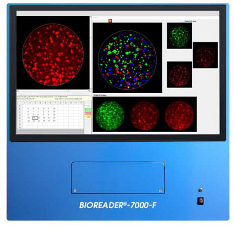 bioreader 7000酶联免疫斑点分析仪Elispot