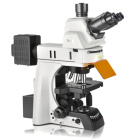 正置荧光显微镜NE910-FL