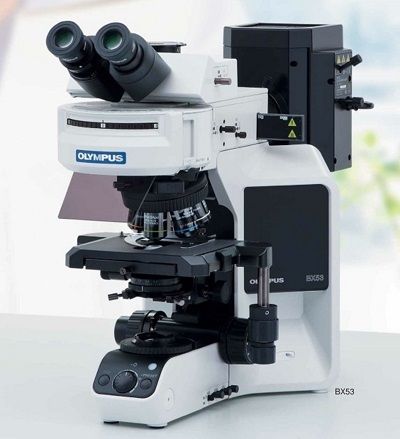 奥林巴斯Olympus BX53正置生物显微镜