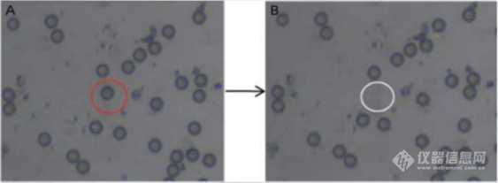 Cytopick单细胞显微挑取仪1.png