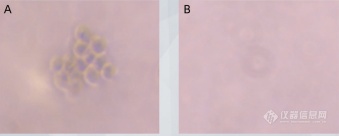 Cytopick单细胞显微挑取仪3.png