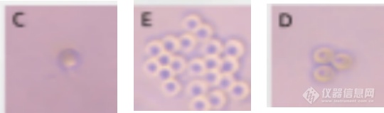 Cytopick单细胞显微挑取仪2.png